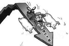 猪价遭遇滑铁卢，养殖户手里的肥猪卖还是不卖？