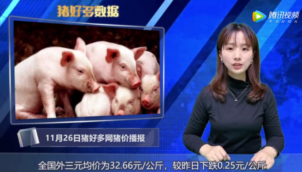 11月26日生猪价格播报：生猪供求格局未扭转，猪价仍高位运行！
