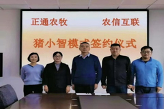 宁夏再添一家智能猪场  农信互联与中卫正通农牧签署智能猪场战略合作协议