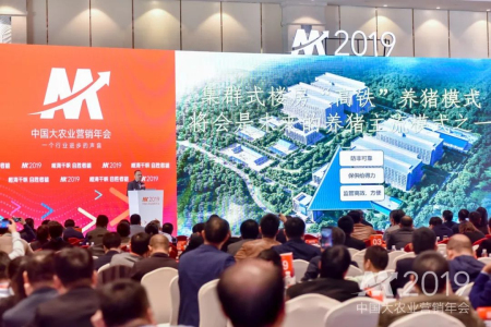 集群式“高铁”楼房养猪