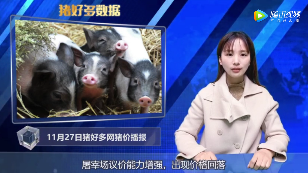 11月27日猪价行情播报：肉类供给有保障，年底前猪价还能上涨吗？