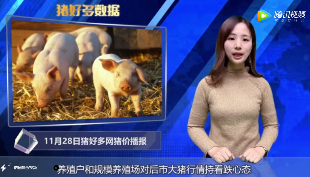11月28日猪评：进口肉影响猪价下跌！年内猪肉进口将超300万吨？