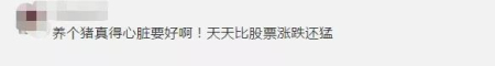 网友评论