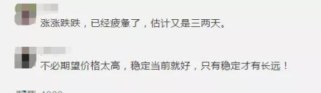 网友评论