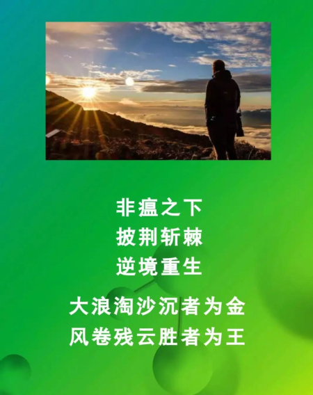 非瘟下养猪业的发展