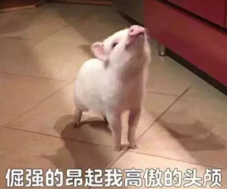 二师兄身价大涨