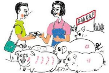 吉林：生猪贷款补贴落地，养猪场安心搞生产