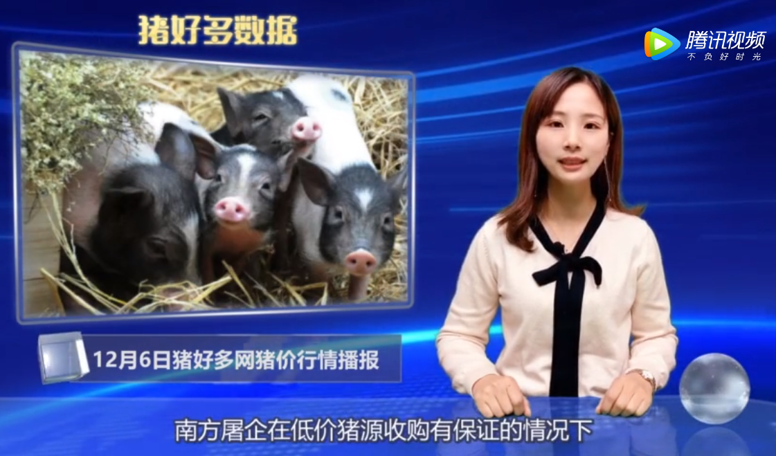 12月6日生猪价格行情分析：猪价和肉价会不会上涨？还得看以下三个因素！