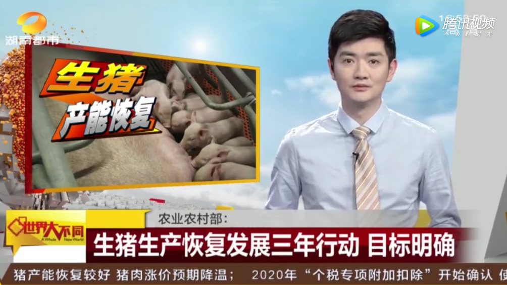 全国各地确保生猪产能 年底将触底回升 猪肉涨价预期降温