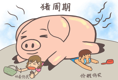舞钢市养猪大户李万邦：养猪有周期坚持能赚钱