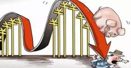 广州猪肉价格 一个月前已回落