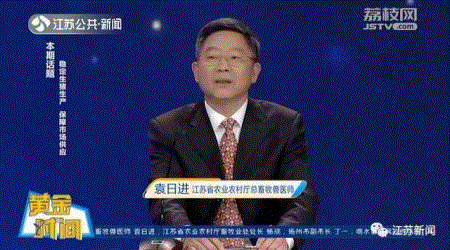 江苏猪肉价格