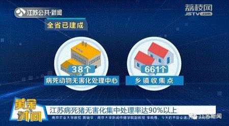 江苏猪肉价格
