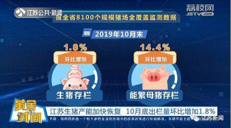 江苏猪肉价格