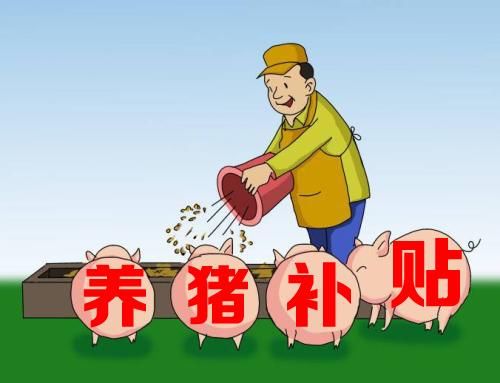 贵阳：每头种猪补800，家庭农场补10万！