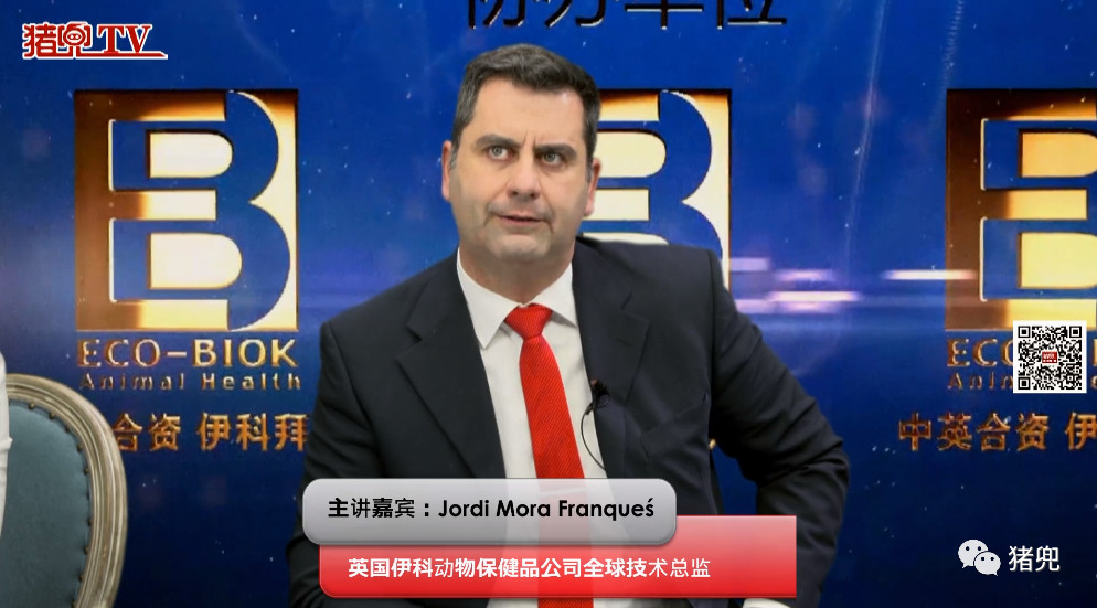 如何维持母猪疾病稳定？驯化、疫苗+大环内酯类抗生素控制的思路值得借鉴