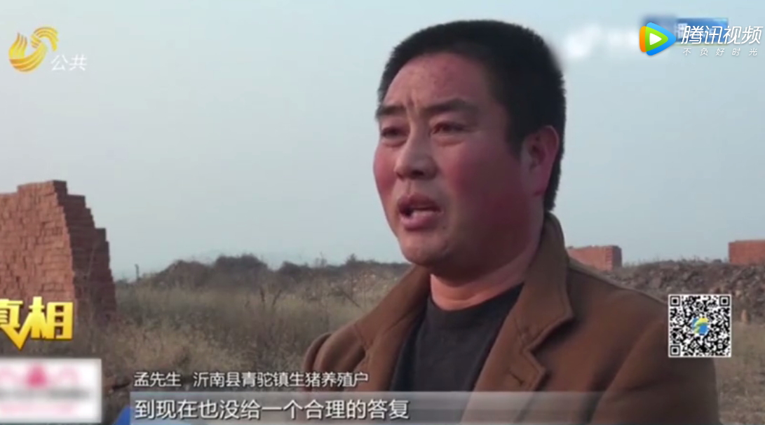 沂南：荒山养猪遭遇备案难 既不违法也不是禁养区 备案为何下不来