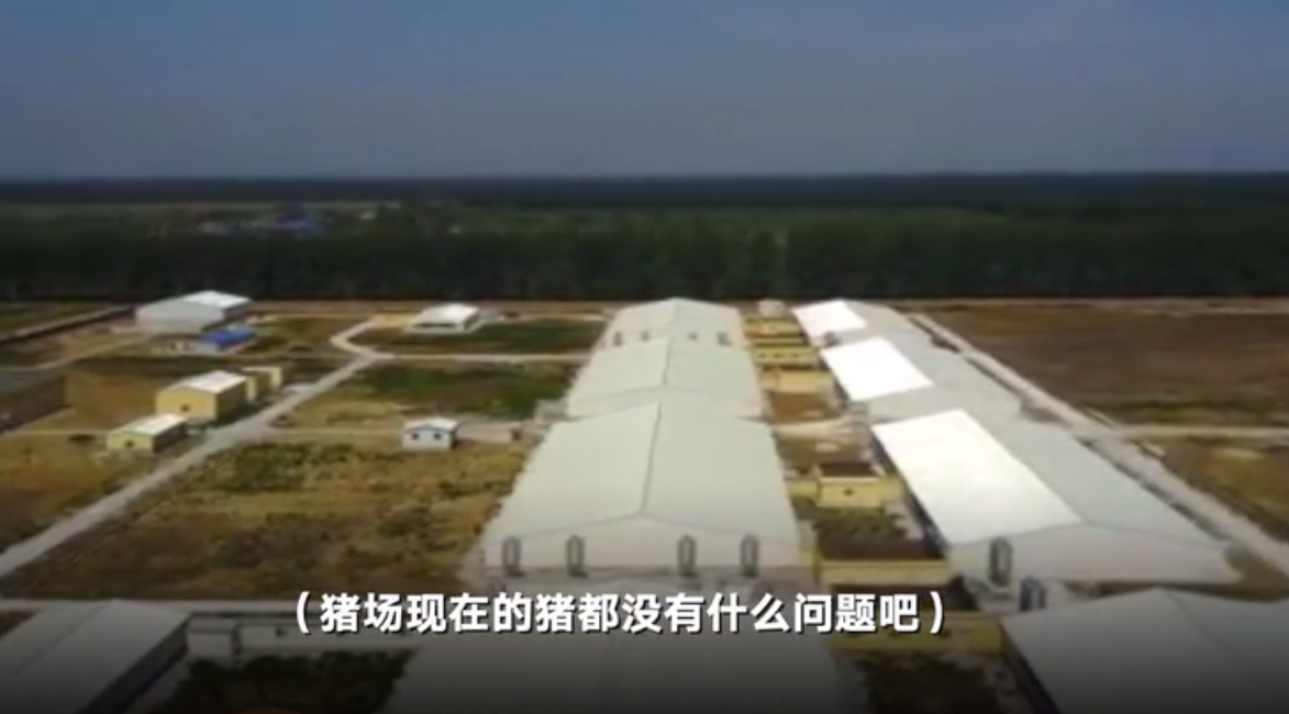 黑龙江一猪场架设干扰器致航班信号丢失 回应：怕无人机投放病毒