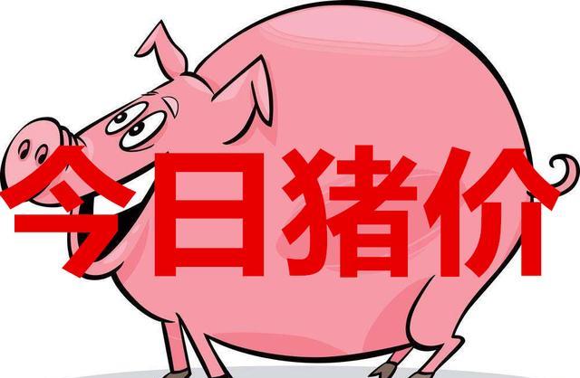 12月21日全国生猪价格，重新飘红，储备肉对猪价抑制作用失效？