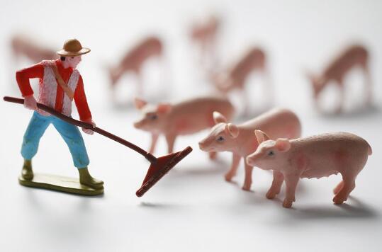 康达尔投129亿签约6生猪项目   负债率76%地产贡献过半营收