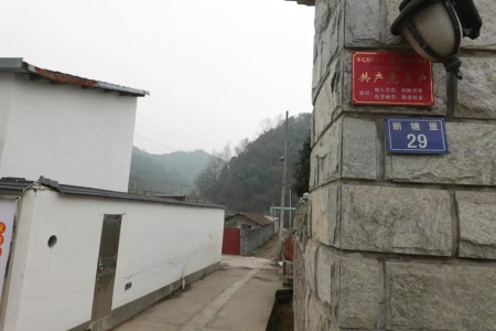 董建强