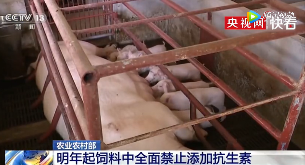 2020年起，我国饲料中全面禁止添加抗生素