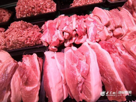 山东猪价