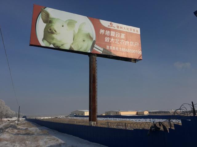 　　位于黑龙江省肇州县的大北农肇州天佑种猪场外，架设的宣传广告牌