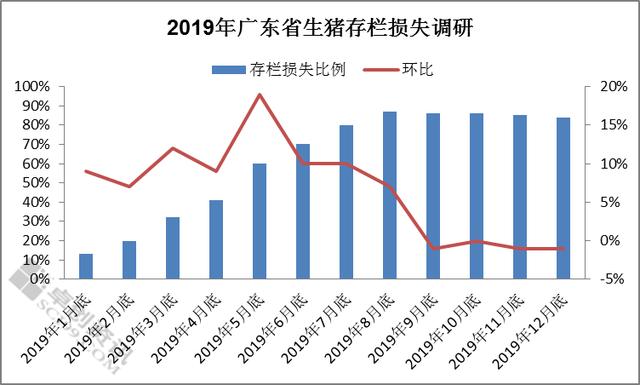 广东供需同降　未来猪价或高位