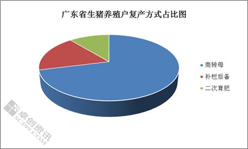 广东供需同降　未来猪价或高位