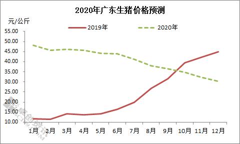 广东供需同降　未来猪价或高位 　　