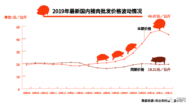 猪肉批发价格