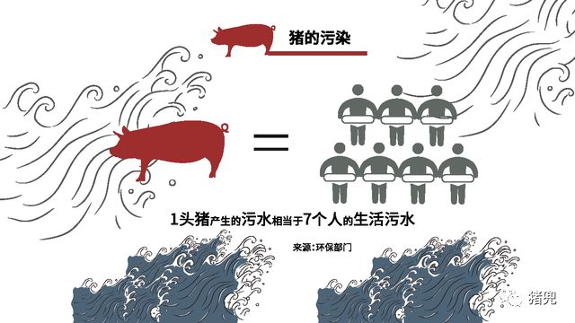 养猪环境