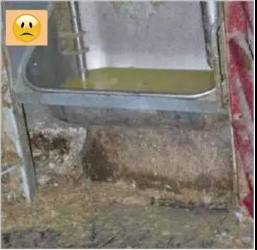 母猪料槽