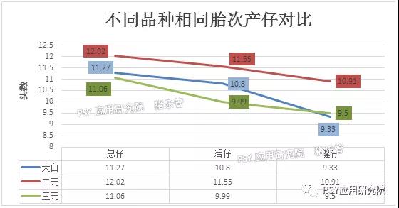 产仔对比