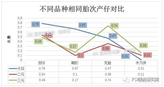 母猪产仔对比