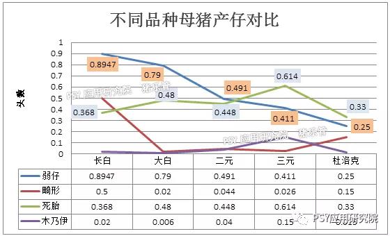 母猪产仔对比