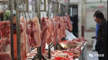 1月20日全国生猪价格，小幅调整，明日再投放2万吨储备肉！