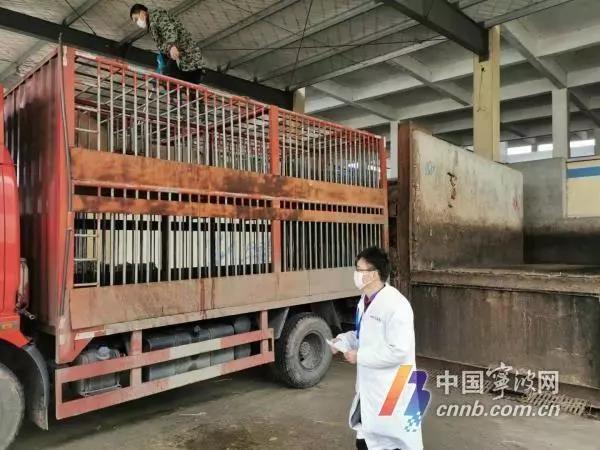 严禁从湖北等地调运生猪 宁波加强监管执法保障猪肉供应