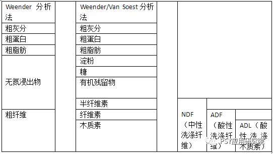 碳水化合物分化的营养分析