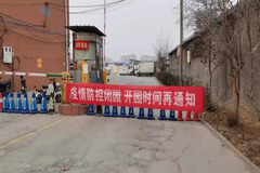 董广林┃现在到底适不适合大量留母猪？