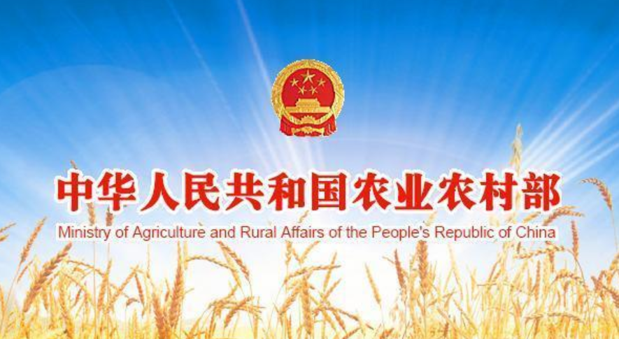 2020年中央一号文件公布！多举措加快恢复生猪生产！
