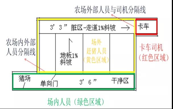 卖猪中转站示意图