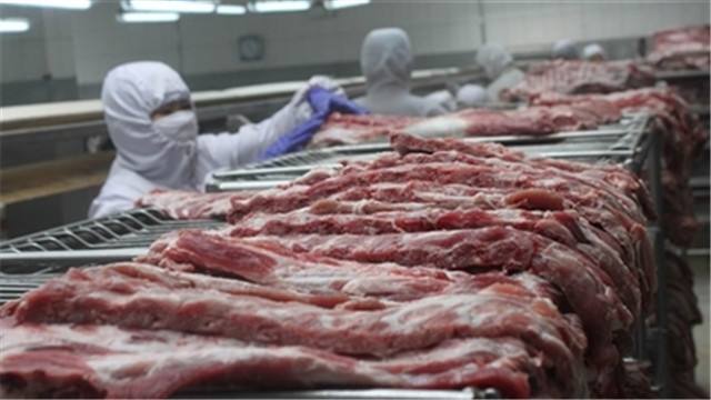 万吨储备肉投放市场，猪价要跌？
