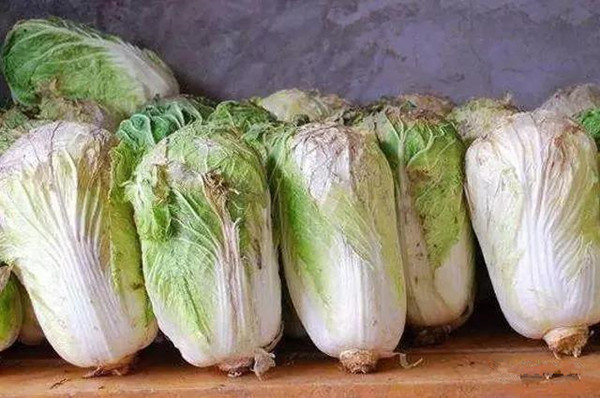 蔬菜
