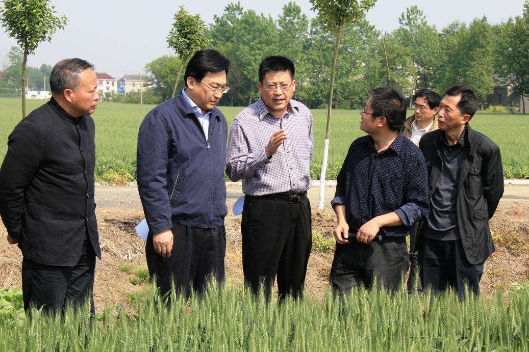 扬州市领导带队检查蔬菜基地生猪屠宰工作确保“菜篮子”供应