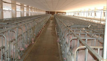 重庆再建年出栏3万头生猪养殖基地