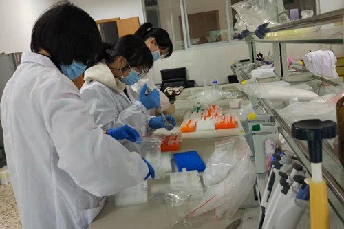 新罗区组织开展“非洲猪瘟”和“禽流感H5H7”检测工作