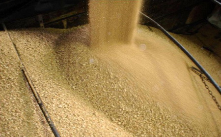2月14日全国豆粕价格行情表，原料价格上涨明显，饲料价格也跟着涨价