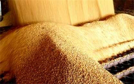 2月17日全国豆粕价格行情表，黑龙江今天豆粕价格上涨141元/公斤